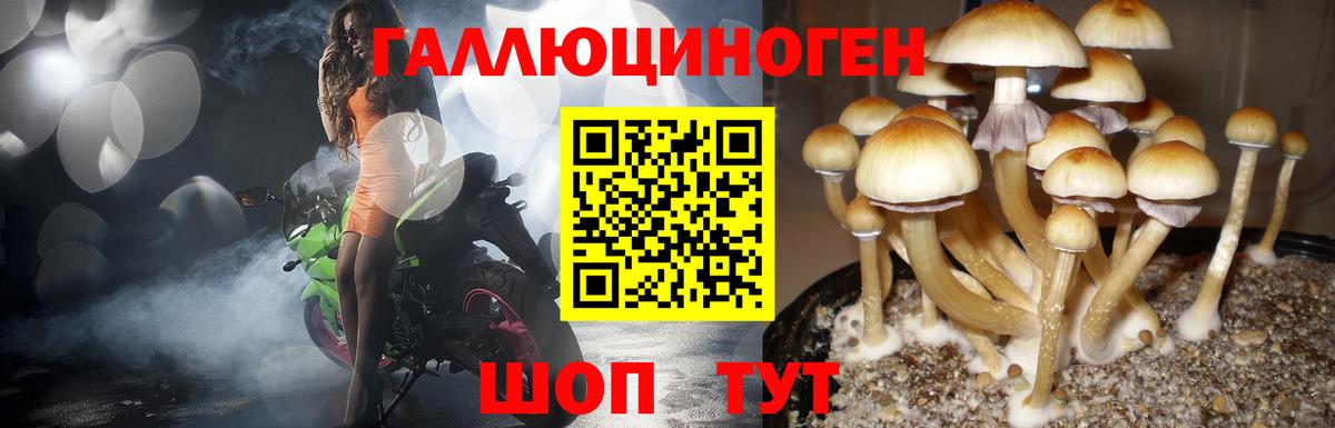 Псилоцибиновые грибы мицелий  Вход с VPN  Новозыбков 