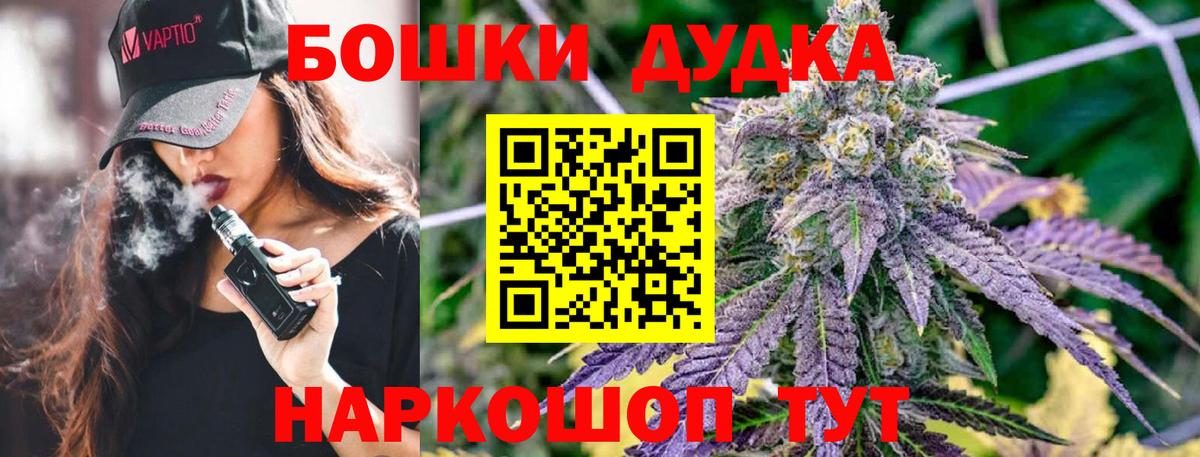 Бошки марихуана план  Бошки Шишки VHQ  Марихуана VHQ  Новозыбков  Вход с VPN 